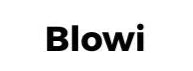 Blowi